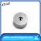 Competitive Price Ring Neodymium Magnet