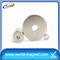 Large ring neodymium rare earth monopole magnet for sale