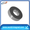 Permanent Ring Shape Neodymium Magnets