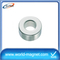 Huge Neodymium Rring Mmagnet