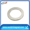 High Quality Strong neodymium ring magnet