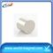 Strong N42 Permanent Neodymium Cylinder Magnet