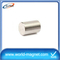 Sintered Hard (50*20mm) Neodymium Cylinder Magnet